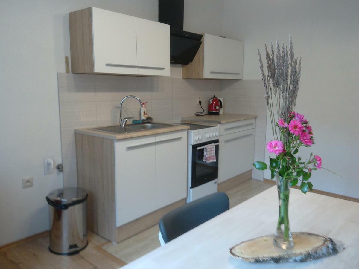 Appartement Apartman S Vyhladom à Kremnica Extérieur photo